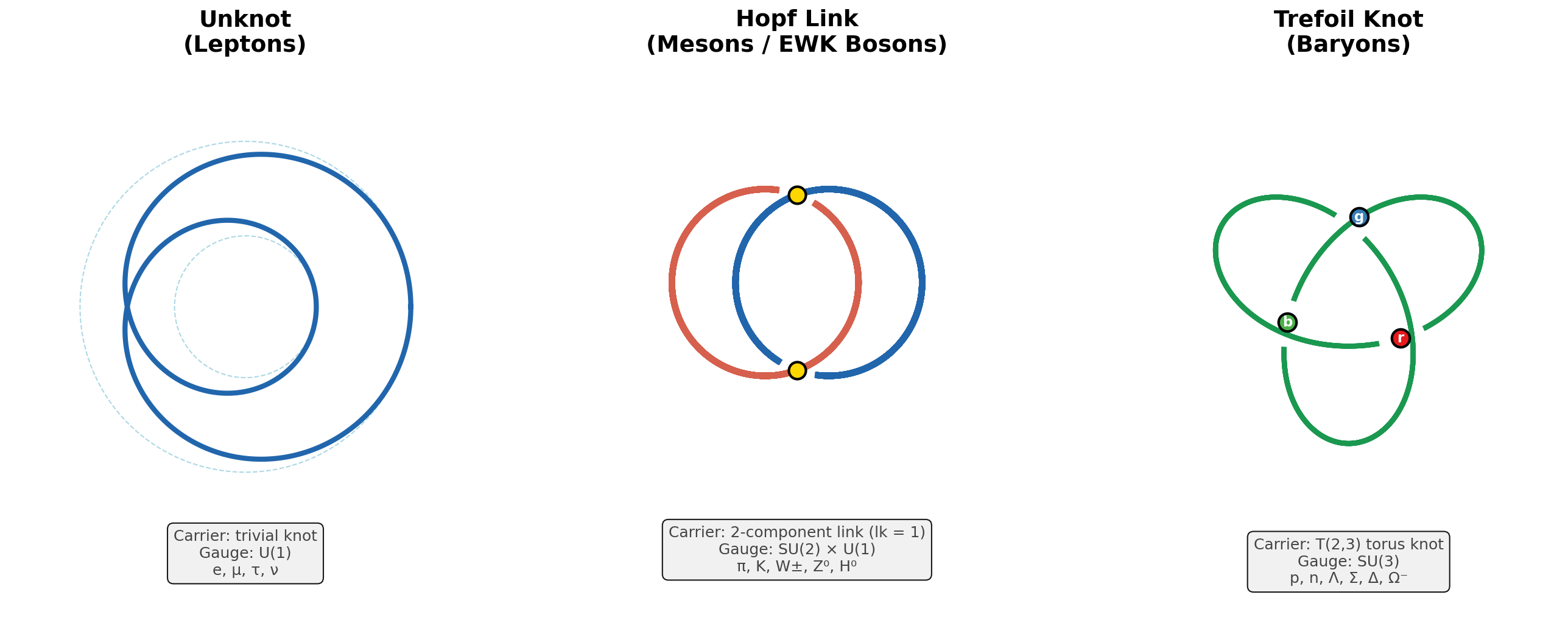 The three carrier types: unknot (leptons), Hopf link (mesons), trefoil (baryons)